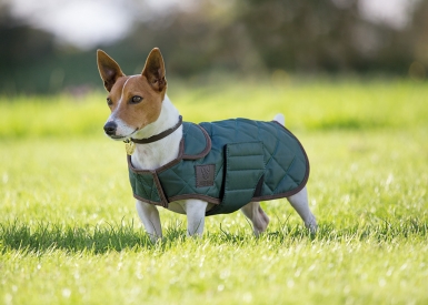 Shires Digby & Fox Quilted Dog Coat